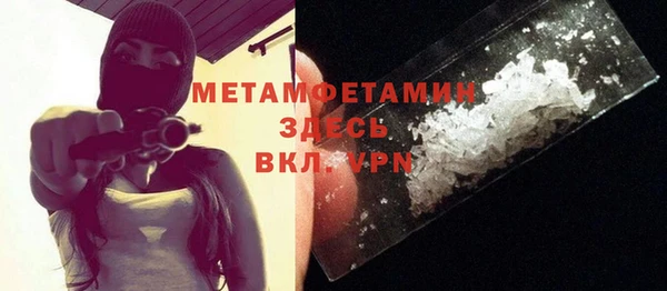 индика Верхний Тагил