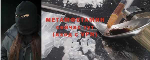 индика Верхний Тагил