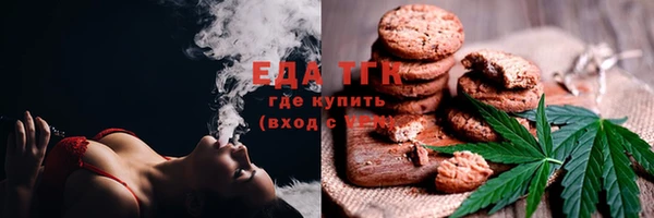 индика Верхний Тагил