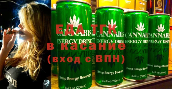 индика Верхний Тагил