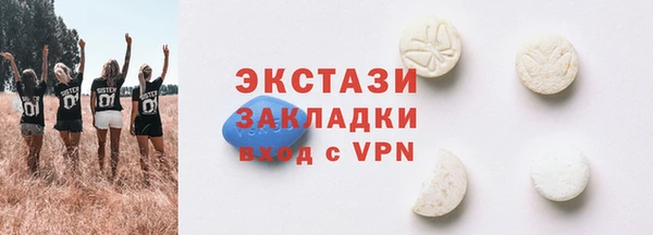 индика Верхний Тагил