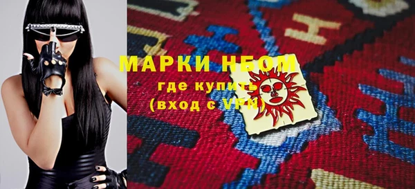 индика Верхний Тагил