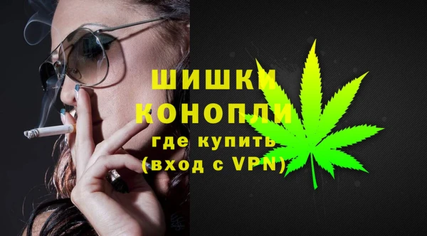 индика Верхний Тагил