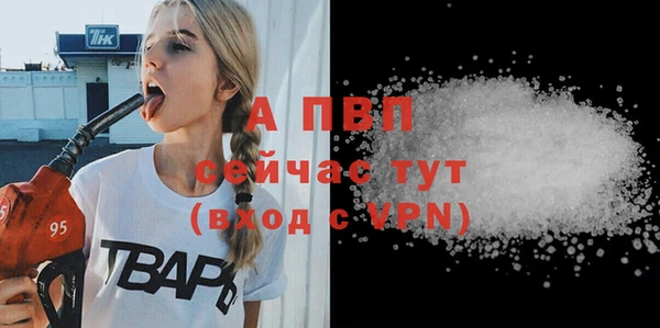 индика Верхний Тагил