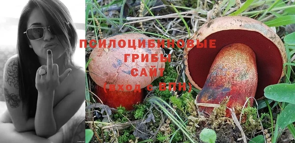 apvp Верея
