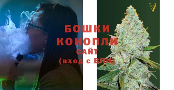 индика Верхний Тагил